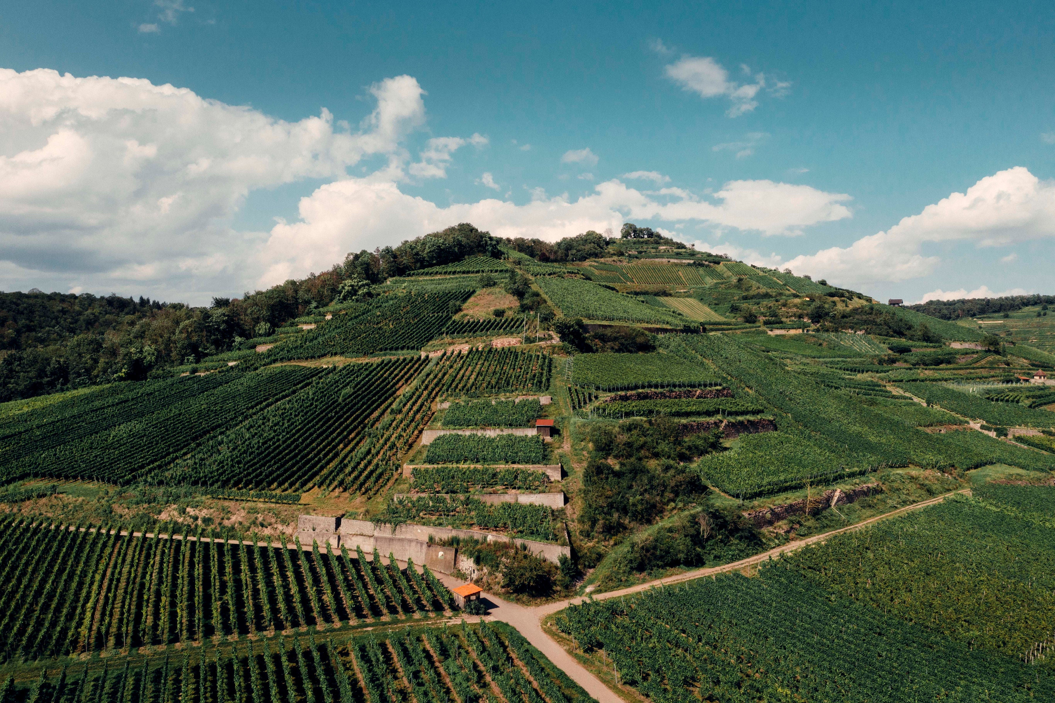 Schlossberg - VDP.Grosse Lage